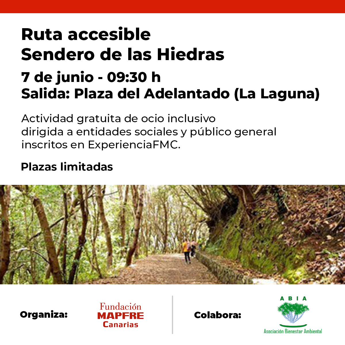 Ruta accesible Sendero de las Hiedras (Tenerife)